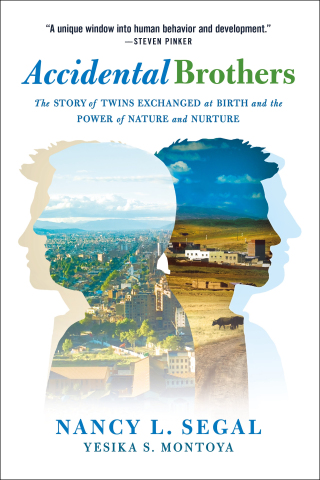 Cover image: Accidental Brothers 9781250101907