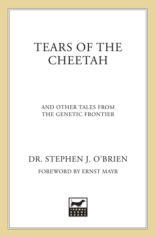 Cover image: Tears of the Cheetah 9780312339005
