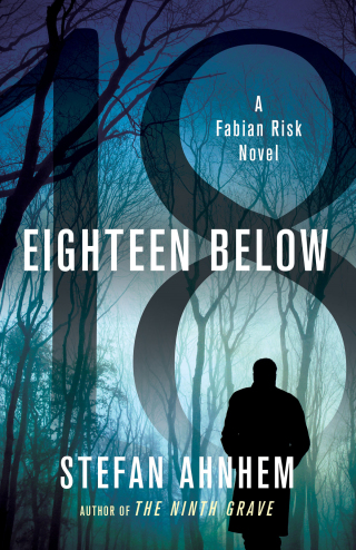 Imagen de portada: Eighteen Below 9781250103222
