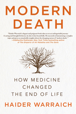 Cover image: Modern Death: How Medicine Changed the End of Life 9781250104588