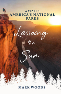 Cover image: Lassoing the Sun 9781250105899