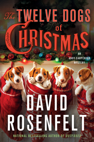 Cover image: The Twelve Dogs of Christmas 9781250190000