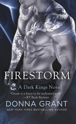 Cover image: Firestorm 9781250109538