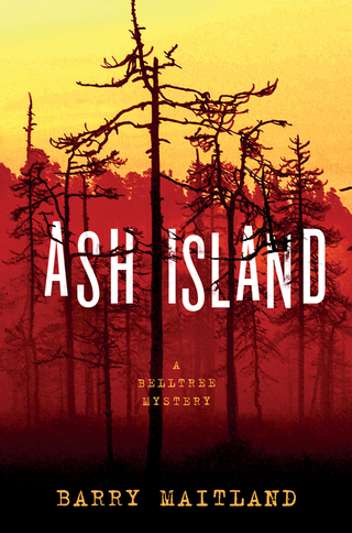 Cover image: Ash Island 9781250113207