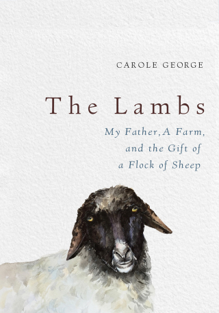 Imagen de portada: The Lambs 9781250113528