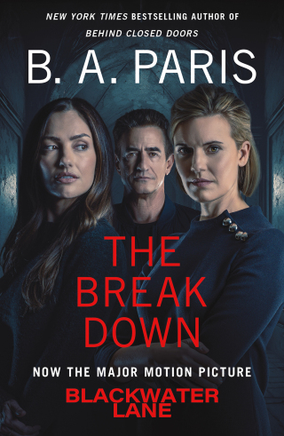 Cover image: The Breakdown 9781250122469