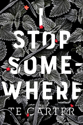 Imagen de portada: I Stop Somewhere 9781250124647