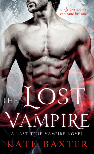 Cover image: The Lost Vampire 9781250125415