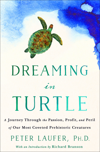 Imagen de portada: Dreaming in Turtle 9781250128096