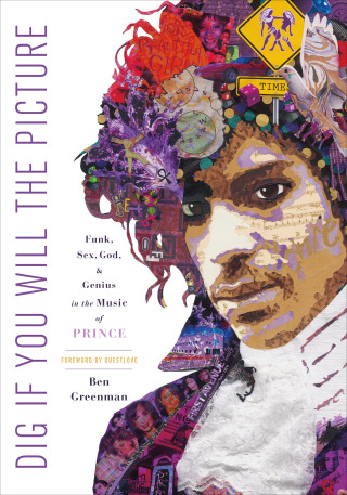 Cover image: Dig If You Will the Picture 9781250128379