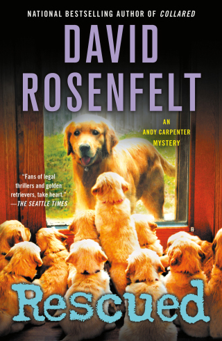 Cover image: Rescued 9781250133069