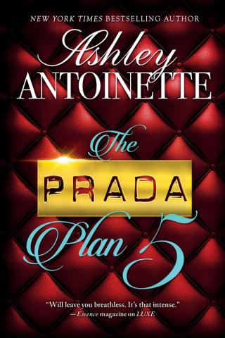 Cover image: The Prada Plan 5 9781250134493