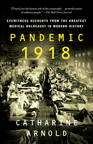 Imagen de portada: Pandemic 1918 9781250139436