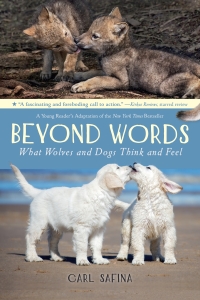 Cover image: Beyond Words: What Wolves and Dogs Think and Feel (A Young Reader's Adaptation) 9781250144652