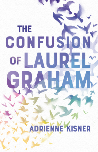 Cover image: The Confusion of Laurel Graham 9781250146045
