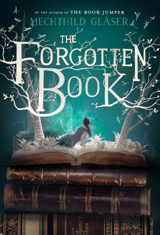 Cover image: The Forgotten Book 9781250146793