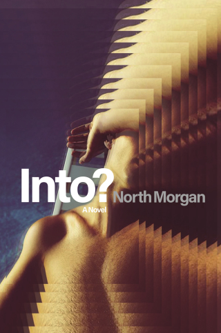 Imagen de portada: Into? 9781250147448