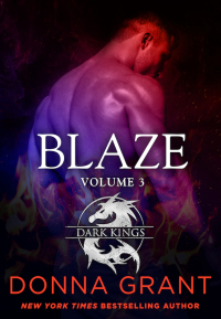 Cover image: Blaze: Volume 3 9781250149381
