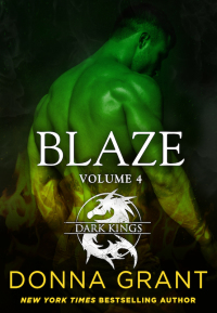 Cover image: Blaze: Volume 4 9781250149398