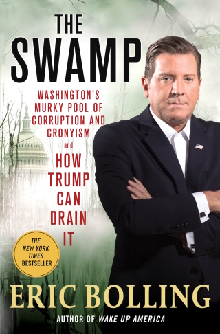 表紙画像: The Swamp 9781250150189