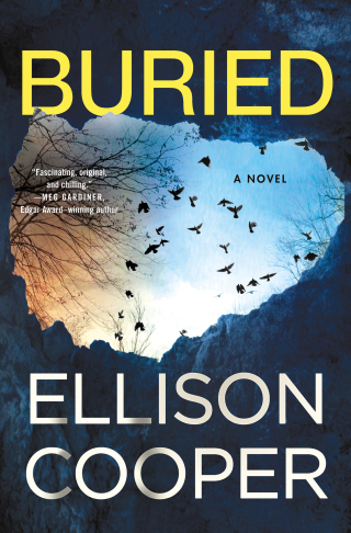 Imagen de portada: Buried 9781250173867