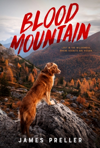 Cover image: Blood Mountain 9781250174857