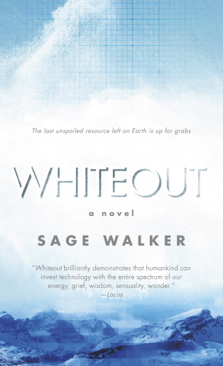 Imagen de portada: Whiteout 9780312863029