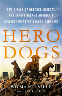 Cover image: Hero Dogs 9781250179913