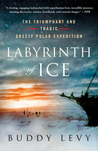 Cover image: Labyrinth of Ice 9781250182197