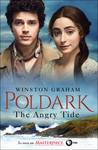 Cover image: The Angry Tide 9781250186058