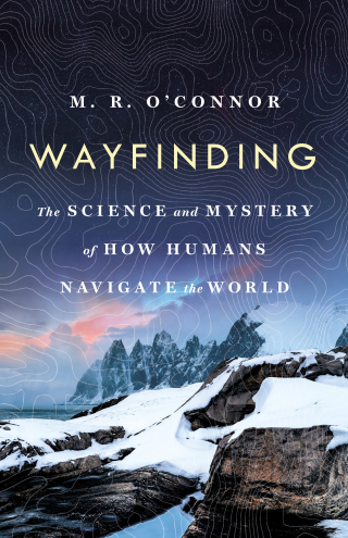 Cover image: Wayfinding 9781250096968