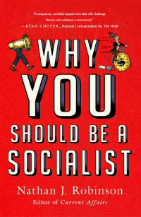 Cover image: Why You Should Be a Socialist 9781250200860