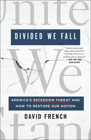 Imagen de portada: Divided We Fall 9781250201973