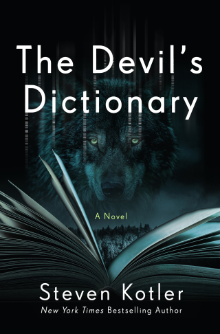 Cover image: The Devil's Dictionary 9781250202093