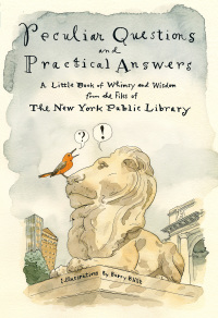 Cover image: Peculiar Questions and Practical Answers 9781250203625
