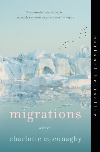 Cover image: Migrations 9781250204028