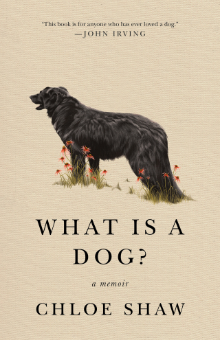 صورة الغلاف: What Is a Dog? 9781250210746