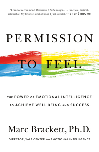 Cover image: Permission to Feel 9781250212849