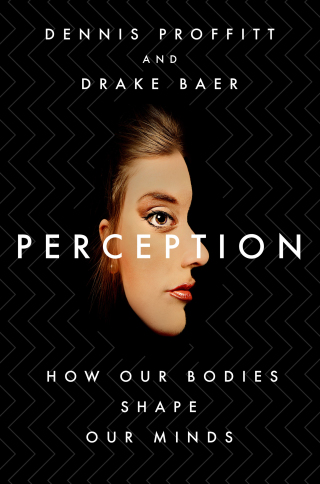 Cover image: Perception 9781250219114