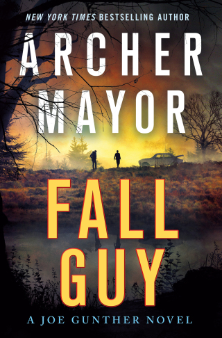 Cover image: Fall Guy 9781250224187