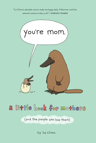 Cover image: You're Mom 9781250228109