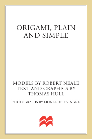 Titelbild: Origami, Plain and Simple 9780312105167