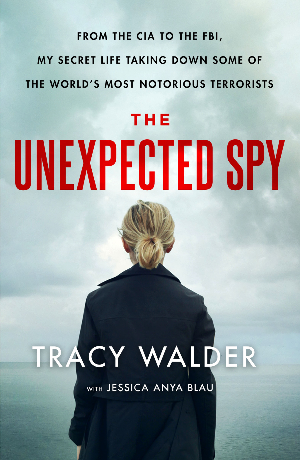 The Unexpected Spy eBook