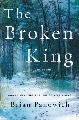 Cover image: The Broken King 9781250240033