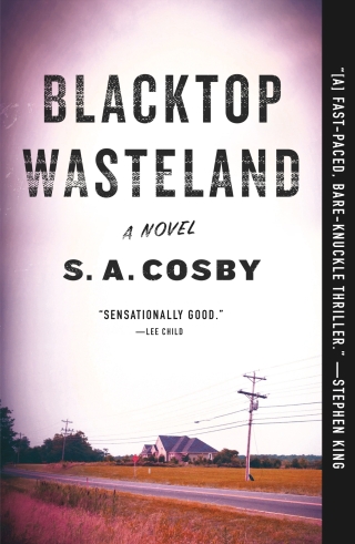 Cover image: Blacktop Wasteland 9781250252685