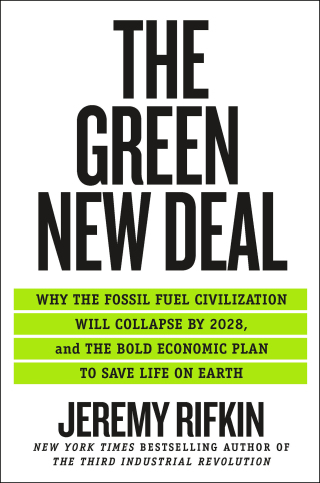 Cover image: The Green New Deal 9781250253200