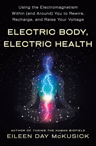 Cover image: Electric Body, Electric Health 9781250262141