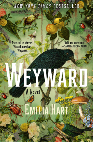 Cover image: Weyward 9781250280800