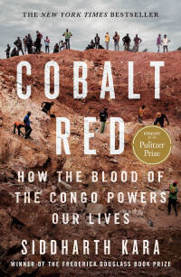 Cover image: Cobalt Red 1st edition 9781250284303