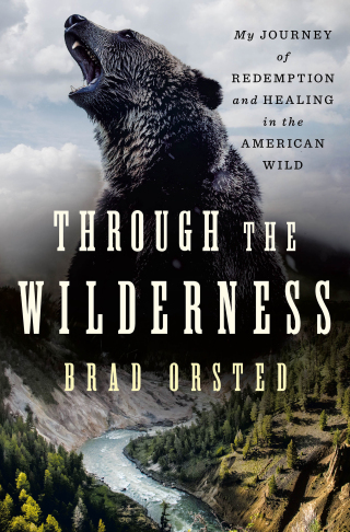Cover image: Through the Wilderness 9781250284693